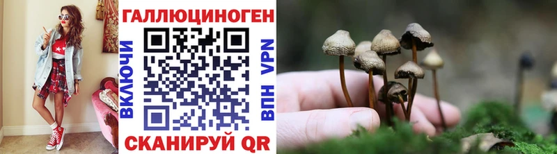 Галлюциногенные грибы Cubensis Красновишерск