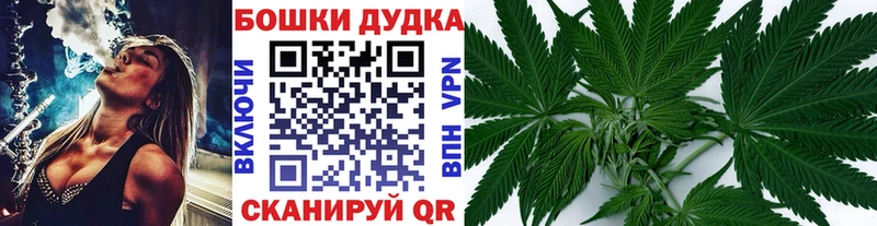 где купить наркотик  kraken зеркало  Бошки марихуана гибрид  Красновишерск 